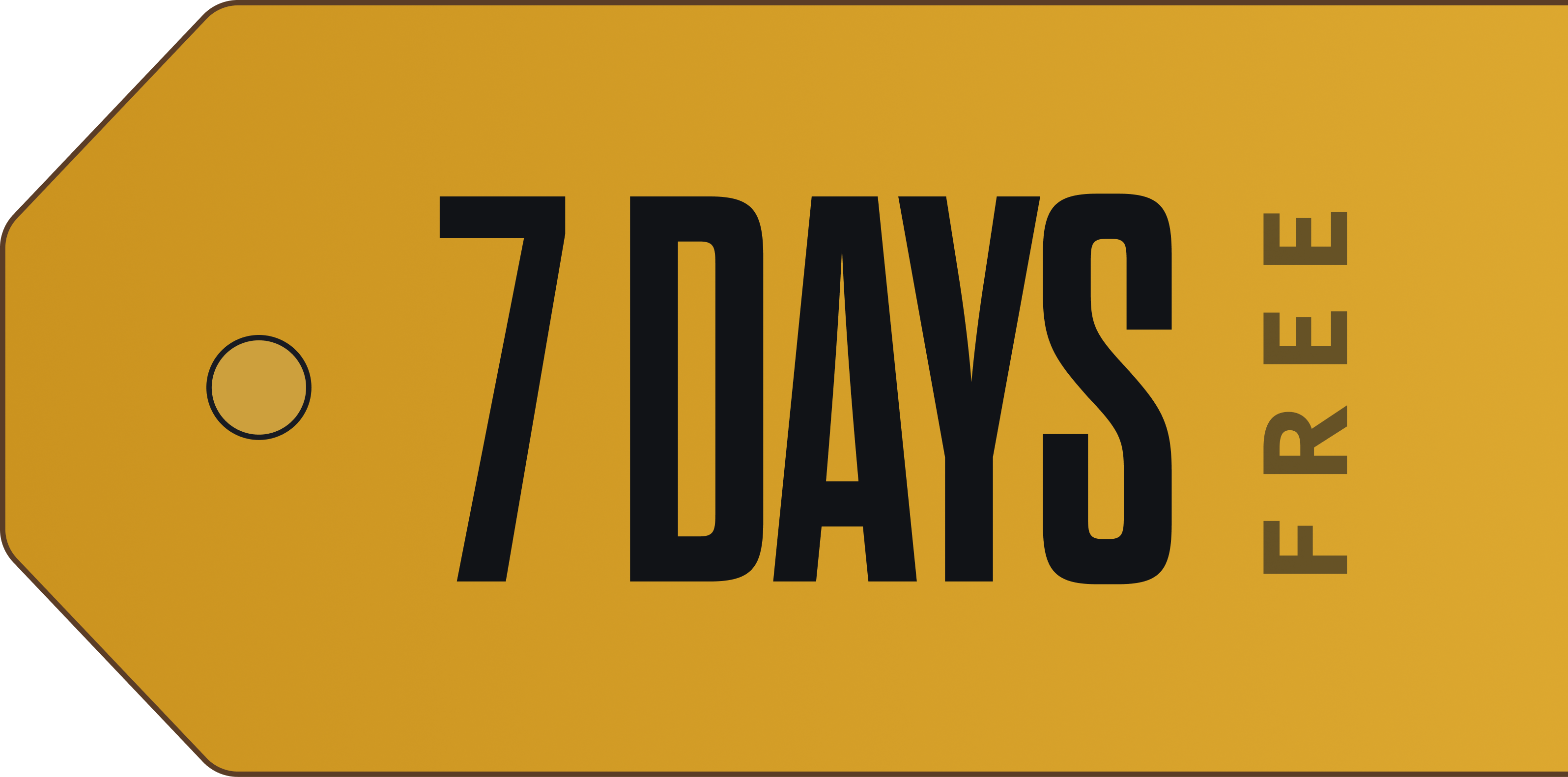 The Coin Printer Black Friday Trial Tag